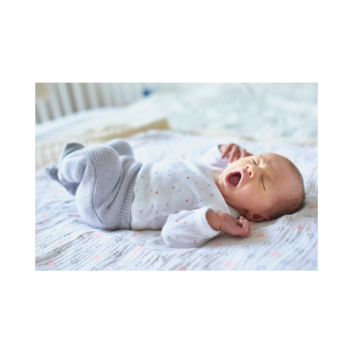 Home Baby 2